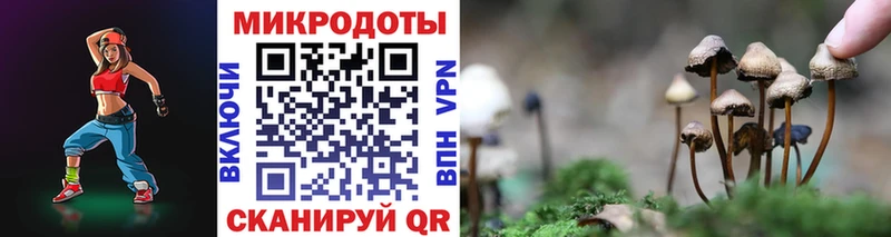 купить закладку  Усолье  Псилоцибиновые грибы мицелий 
